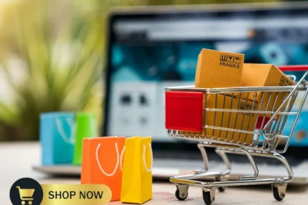hopping cart filled with boxes and colorful paper bags placed before a laptop screen, showcasing Freelance2Retire’s e-commerce strategies and online shopping income opportunities for retirement